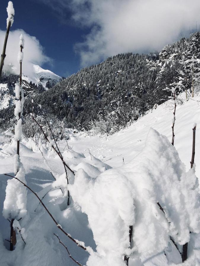 Apartment Hoamelig Wald am Arlberg Εξωτερικό φωτογραφία